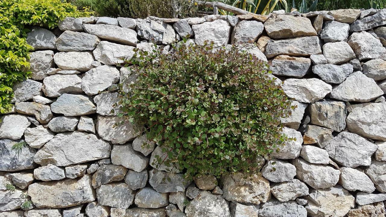 Vietri Ancient Estate "Il Trignano"ヴィラ エクステリア 写真
