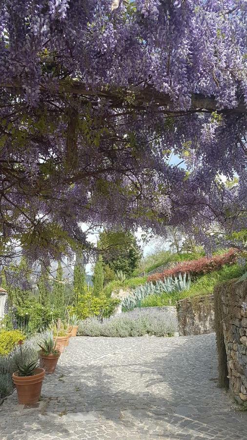 Vietri Ancient Estate "Il Trignano"ヴィラ エクステリア 写真