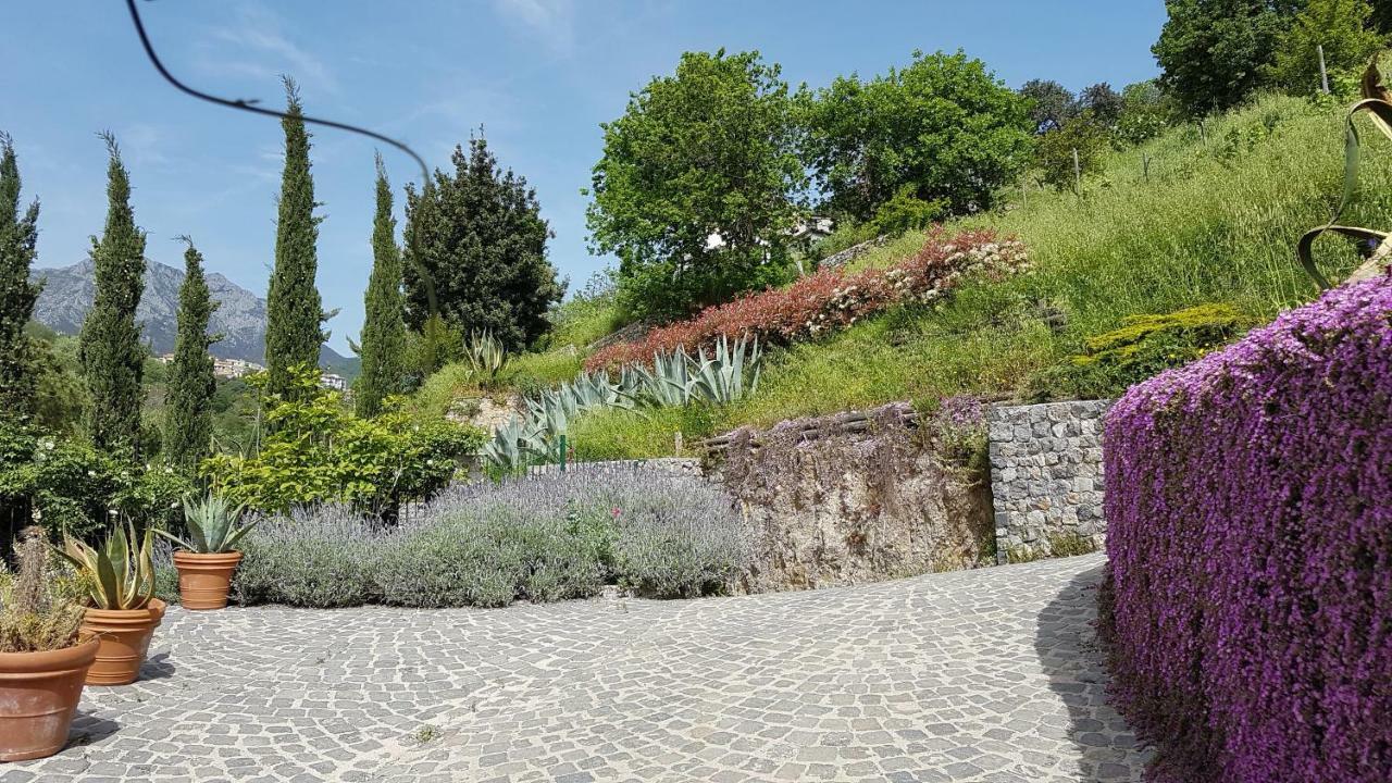 Vietri Ancient Estate "Il Trignano"ヴィラ エクステリア 写真
