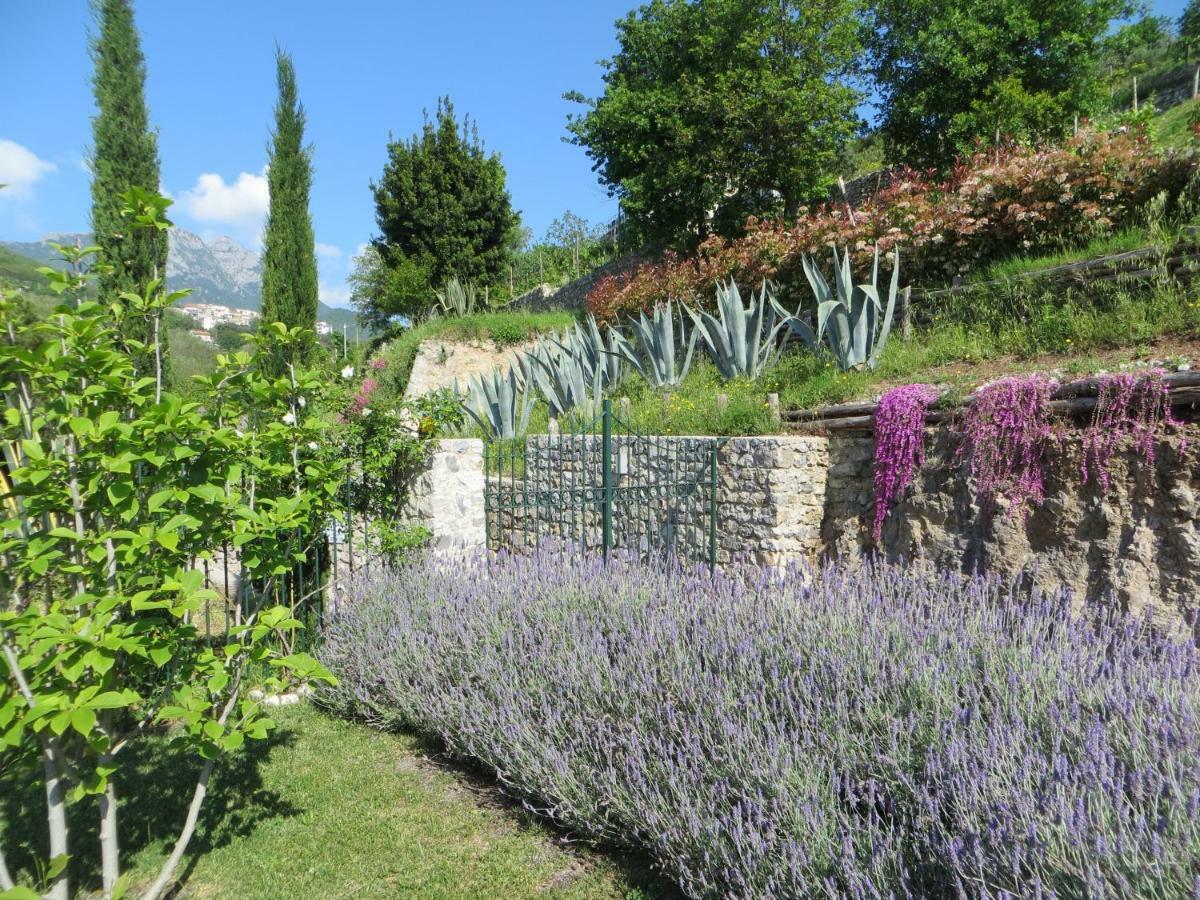 Vietri Ancient Estate "Il Trignano"ヴィラ エクステリア 写真